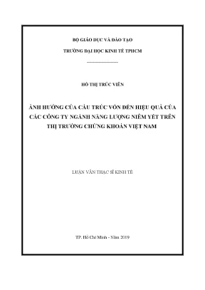 Luận văn thạc sĩ ảnh hưởng của cấu trúc vốn đến hiệu quả của các công ty thuộc ngành năng lượng niêm yết trên thị trường chứng khoán việt nam
