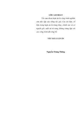 Luận án tiến sĩ đảng bộ quân chủng phòng không không quân lãnh đạo chống chiến tranh phá hoại của đế quốc mỹ ở miền bắc việt nam giai đoạn 1965 1968 và năm 1972