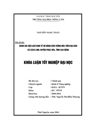 Luận văn đánh giá hiệu quả kinh tế hộ nông dân trồng mía trên địa bàn xã cách linh huyện phục hòa tỉnh cao bằng
