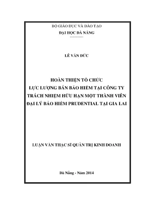 Luận văn thạc sĩ hoàn thiện tổ chức lực lượng bán bảo hiểm tại công ty tnhh mtv đại lý bảo hiểm prudential tại gia lai