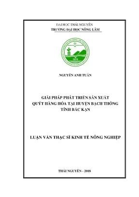 Luận văn giải pháp phát triển sản phẩm quýt hàng hóa tại huyện bạch thông tỉnh bắc kạn