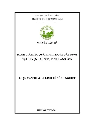 Luận văn đánh giá hiệu quả kinh tế của cây bưởi tại huyện bắc sơn tỉnh lạng sơn
