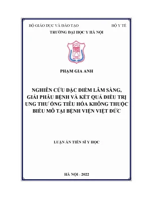 Luận án tiến sĩ nghiên cứu đặc điểm lâm sàng giải phẫu bệnh và kết quả điều trị ung thư ống tiêu hóa không thuộc biểu mô tại bệnh viện việt đức