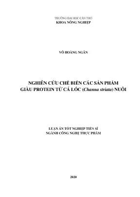Luận án tiến sĩ nghiên cứu chế biến các sản phẩm giàu protein từ cá lóc channa striata nuôi