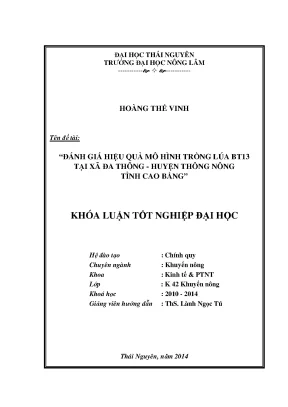 Luận văn đánh giá hiệu quả mô hình trồng lúa bt13 tại xã đa thông huyện thông nông tỉnh cao bằng