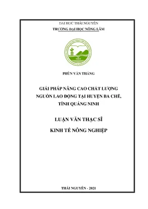 Luận văn giải pháp nâng cao chất lượng nguồn lao động tại huyện ba chẽ tỉnh quảng ninh
