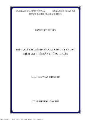 Hiệu quả tài chính của các công ty cao su niêm yết trên sàn chứng khoán luận văn thạc sĩ kinh tế
