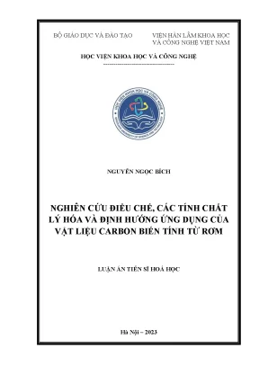 Luận án tiến sĩ hóa học nghiên cứu điều chế các tính chất lý hóa và định hướng ứng dụng của vật liệu carbon biến tính từ rơm