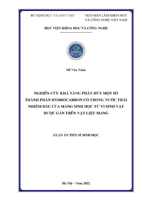 Luận án tiến sĩ nghiên cứu khả năng phân hủy một số thành phần hydrocarbon có trong nước thải nhiễm dầu của màng sinh học từ vi sinh vật được gắn trên vật liệu mang