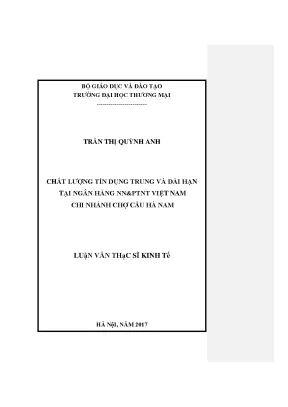 Luận văn thạc sĩ chất lượng tín dụng trung và dài hạn tại ngân hàng nnptnt việt nam chi nhánh chợ cầu hà nam