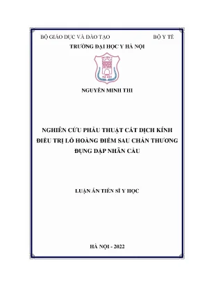 Luận án tiến sĩ nghiên cứu phẫu thuật cắt dịch kính điều trị lỗ hoàng điểm sau chấn thương đụng dập nhãn cầu