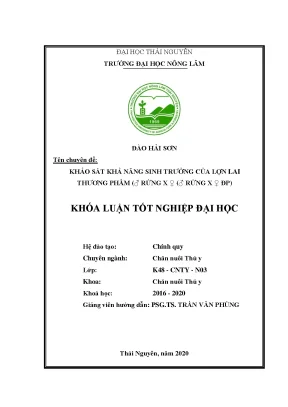 Luận văn khảo sát khả năng sinh trưởng của lợn lai thương phẩm ♂ rừng x ♀ ♂ rừng x ♀ đp