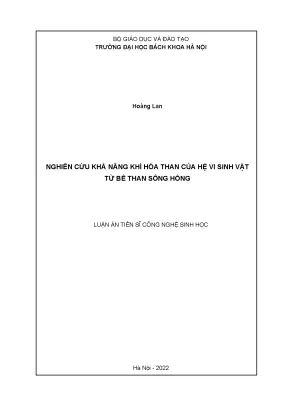 Luận án tiến sĩ nghiên cứu khả năng khí hóa than của hệ vi sinh vật từ bể than sông hồng