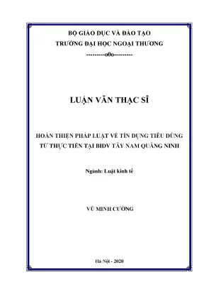 Luận văn thạc sĩ hoàn thiện pháp luật về tín dụng tiêu dùng từ thực tiễn tại bidv tây nam quảng ninh