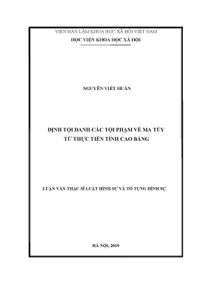 Luận văn thạc sĩ định tội danh các tội phạm về ma túy từ thực tiễn tỉnh cao bằng