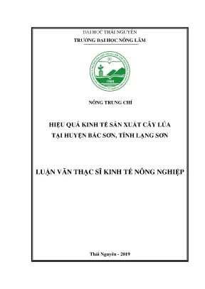 Luận văn hiệu quả kinh tế sản xuất cây lúa tại huyện bắc sơn tỉnh lạng sơn