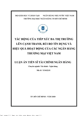 Tác động của tiếp xúc đa thị trường lên cạnh tranh rủi ro tín dụng và hiệu quả hoạt động của các ngân hàng thương mại việt nam luận án tiến sĩ tài chính ngân hàng