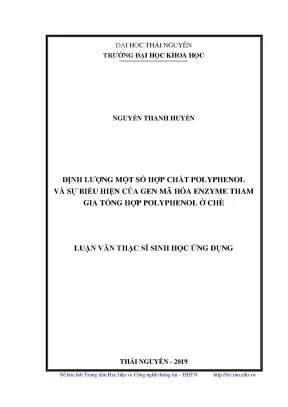 Luận văn thạc sĩ sinh học ứng dụng định lượng một số hợp chất polyphenol và sự biểu hiện của gen mã hóa enzyme tham gia tổng hợp polyphenol ở chè