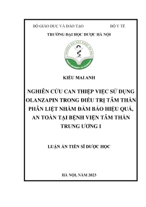 Luận án tiến sĩ nghiên cứu can thiệp việc sử dụng olanzapin trong điều trị tâm thần phân liệt nhằm đảm bảo hiệu quả an toàn tại bệnh viện tâm thần trung ương i