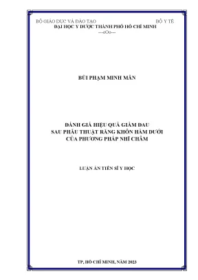 Luận án tiến sĩ đánh giá hiệu quả giảm đau sau phẫu thuật răng khôn hàm dưới của phương pháp nhĩ châm