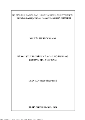 Năng lực tài chính của các ngân hàng thương mại việt nam luận văn thạc sĩ tài chính ngân hàng