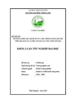 Luận văn đánh giá hiệu quả kinh tế của việc trồng măng bát độ trên địa bàn xã an phú huyện lục yên tỉnh yên bái