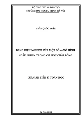 Luận án tiến sĩ dáng điệu nghiệm của một số mô hình ngẫu nhiên trong cơ học chất lỏng