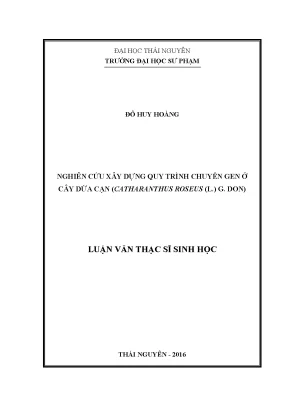 Luận văn thạc sĩ sinh học nghiên cứu xây dựng quy trình chuyển gen ở cây dừa cạn catharanthus roseus l g don