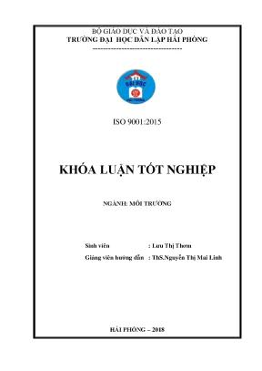 Luận văn nghiên cứu một số tác động chính của hoạt động sản xuất xốp eps đến môi trường và đề xuất biện pháp giảm thiểu