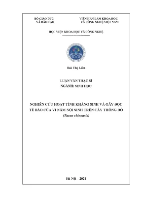 Luận văn thạc sĩ sinh học nghiên cứu hoạt tính kháng sinh và gây độc tế bào của vi nấm nội sinh trên cây thông đỏ taxus chinensis