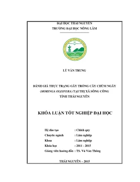 Luận văn đánh giá thực trạng gây trồng cây chùm ngây moringa oleifera tại thị xã sông công tỉnh thái nguyên