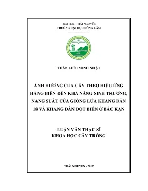 Luận văn thạc sĩ ảnh hưởng của cấy theo hiệu ứng hàng biên đến khả năng sinh trưởng năng suất của giống lúa khang dân 18 và khang dân đột biến ở bắc kạn