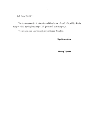 Luận văn thạc sĩ giải pháp phát triển hoạt động thanh toán quốc tế tại ngân hàng thương mại cổ phần bưu điện liên việt