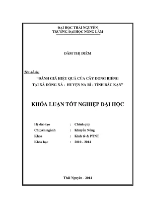 Luận văn đánh giá hiệu quả của cây dong riềng tại xã đổng xá huyện na rì tỉnh bắc kạn