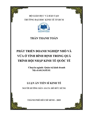 Luận văn phát triển doanh nghiệp nhỏ và vừa ở tỉnh bình định trong quá trình hội nhập kinh tế quốc tế luận án tiến sĩ