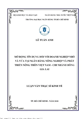 Mở rộng quy mô tín dụng đối với doanh nghiệp nhỏ và vừa tại ngân hàng nông nghiệp và phát triển nông thôn việt nam chi nhánh đông gia lai luận văn thạc sĩ kinh tế
