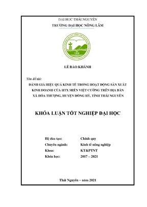 Luận văn đánh giá hiệu quả kinh tế trong hoạt động sản xuất kinh doanh của hợp tác xã miến việt cường trên địa bàn xã hóa thượng huyện đồng hỷ tỉnh thái nguyên