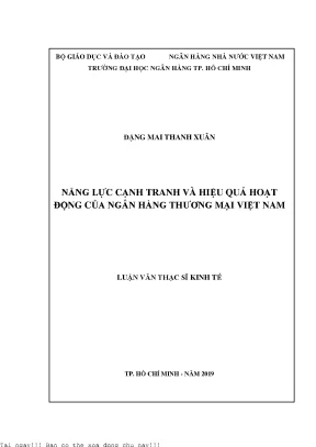 Năng lực cạnh tranh và hiệu quả hoạt động của ngân hàng thương mại việt nam luận văn thạc sĩ tài chính ngân hàng