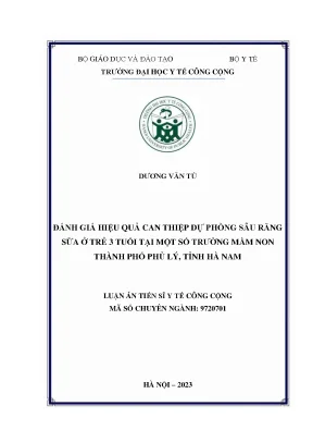 Luận án tiến sĩ đánh giá hiệu quả can thiệp dự phòng sâu răng sữa ở trẻ 3 tuổi tại một số trường mầm non thành phố phủ lý tỉnh hà nam