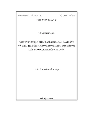 Luận án tiến sĩ nghiên cứu đặc điểm lâm sàng cận lâm sàng và điều trị tổn thương động mạch lớn trong gãy xương sai khớp chi dưới
