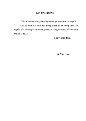 Luận án tiến sĩ tăng cường vai trò của kiểm toán hoạt động ở việt nam do kiểm toán nhà nước thực hiện