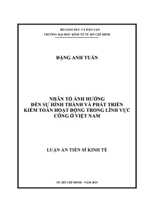 Luận văn nhân tố ảnh hưởng đến sự hình thành và phát triển kiểm toán hoạt động trong lĩnh vực công ở việt nam luận án tiến sĩ