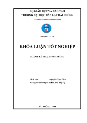 Luận văn nghiên cứu xử lý nước thải sản xuất mắm bằng bãi lọc trồng cây sậy dòng chảy đứng