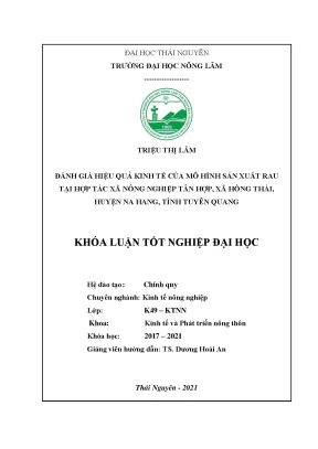 Luận văn đánh giá hiệu quả kinh tế của mô hình sản xuất rau tại hợp tác xã nông nghiệp tân hợp xã hồng thái huyện na hang tỉnh tuyên quang