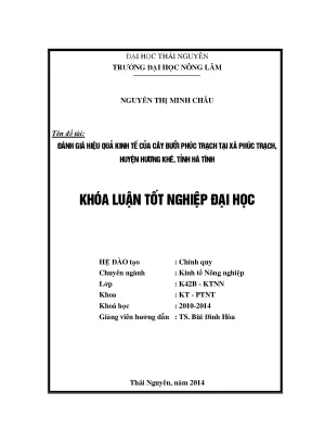 Luận văn đánh giá hiệu quả kinh tế của cây bưởi phúc trạch tại xã phúc trạch huyện hương khê tỉnh hà tĩnh