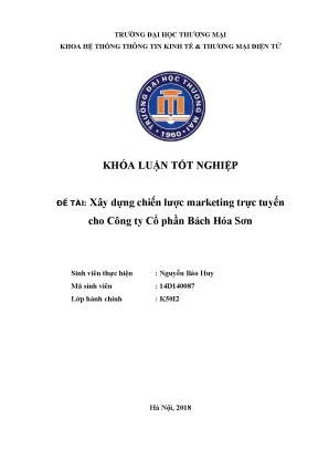 Luận văn xây dựng chiến lƣợc marketing trực tuyến cho công ty cổ phần bách hóa sơn