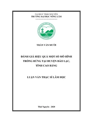 Luận văn đánh giá hiệu quả một số mô hình trồng rừng tại huyện bảo lạc tỉnh cao bằng