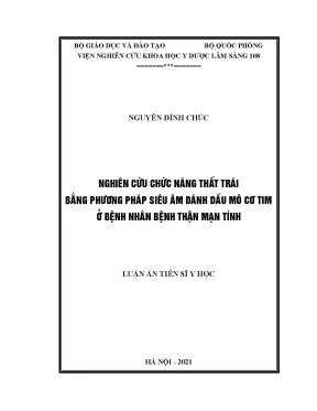 Luận án tiến sĩ nghiên cứu chức năng thất trái bằng phương pháp siêu âm đánh dấu mô cơ tim ở bệnh nhân bệnh thận mạn tính