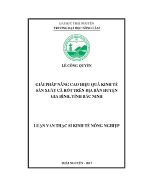 Luận văn giải pháp nâng cao hiệu quả kinh tế sản xuất cà rốt trên địa bàn huyện gia bình tỉnh bắc ninh