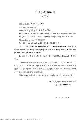 Tín dụng ngân hàng đối với doanh nghiệp nhỏ và vừa tại các chi nhánh ngân hàng nông nghiệp và phát triển nông thôn việt nam trên địa bàn thành phố hồ chí minh luận án tiến sĩ kinh tế